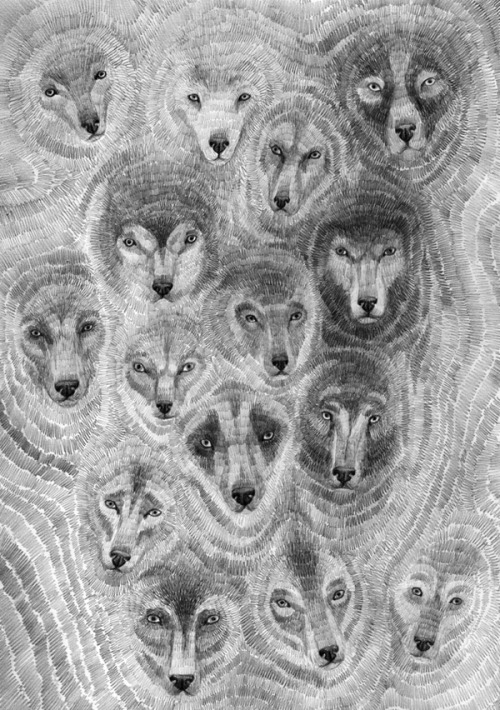 behance.netOoli Mos, Dog wall, 2010, pencil on paper