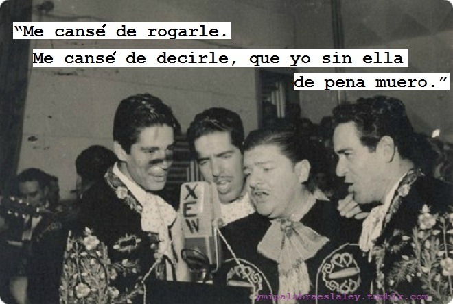 Mi palabra es la ley...