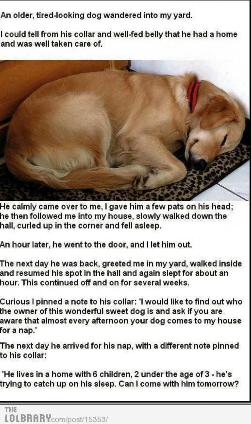 tehfunnieststuff:
“ Dog
Follow this blog for the best new funny pictures every day
”
I like this story lol. Its so cute!