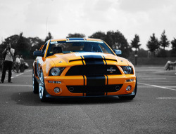 automotivated:  ShelbySuperSnake (by andawg116)