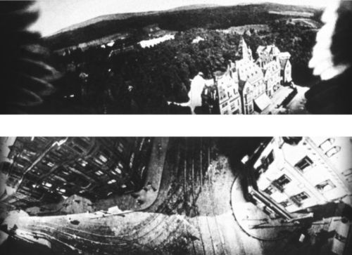 houseofromanov:  pigeon camera photographs 
