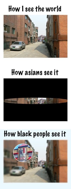 sodamnrelatable:  HEY!… us asians like chicken too you know! 