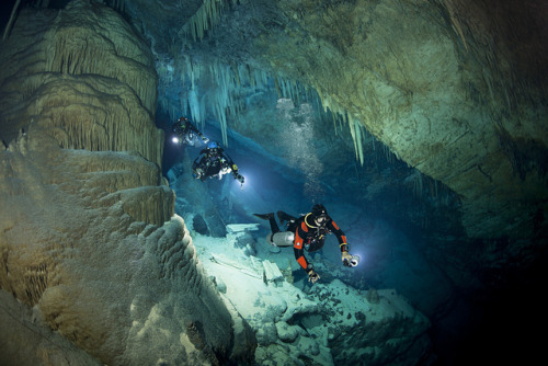 Three divers swim through the water-filled passages below the island of Bermuda (by tomhauburn).