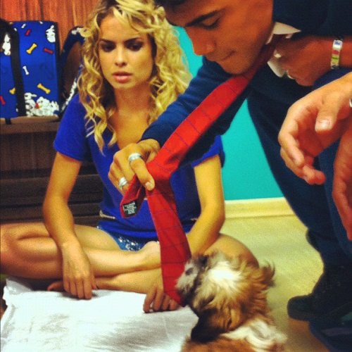 euamorebeldebr:  @bernadofalcone: Freddie atacando o @micaelborges! awn que lindos ! *-* 