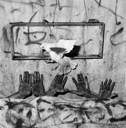 thesemightysecrets:  Roger Ballen 