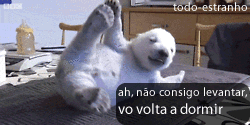 Aquele momento que você come tanto que mal consegue sustentar o próprio peso: