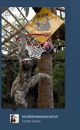 ottaku-baka:  Aquele momento que o Tumblr Radar posta uma foto minha jogando Basquete  