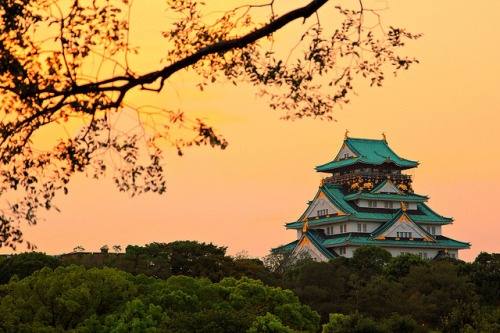 Osaka Castle, Japan. Osaka Castle, otherwise known as Osaka-jo in Japanese, dates back to the 16th c