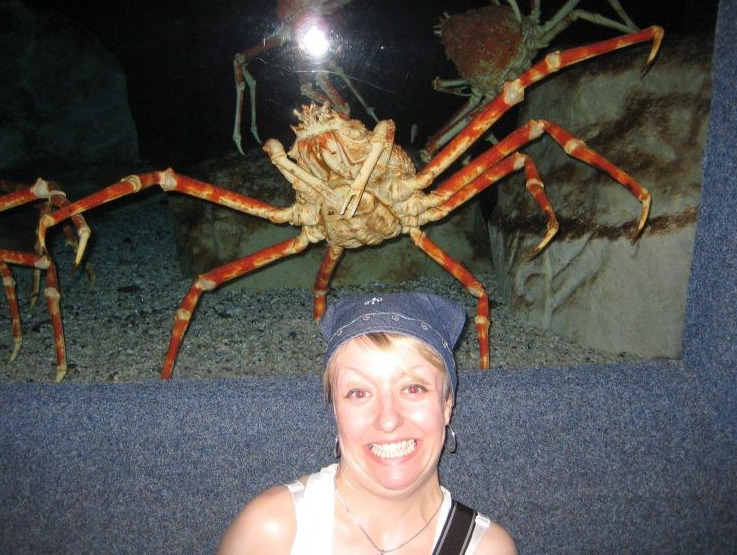 bunnyfood:  That crab is totally throwing a crab gang sign 