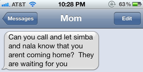 pitchblackglow:  I can’t tell if my mom misses me or if she’s just obsessed with my cats