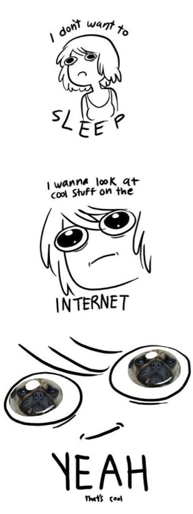 sexytimesforall:  This is how I spend my life. 