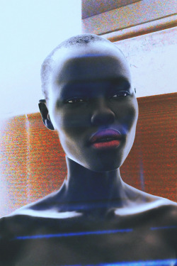 pyrrhics:  Grace Bol by Toto Cullen 