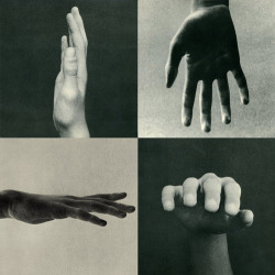 watussi:  Bruno Munari - Images Of Reality