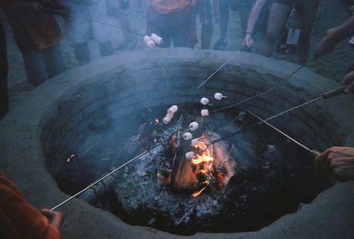 frolickingfeathers:  (by esther jung) 