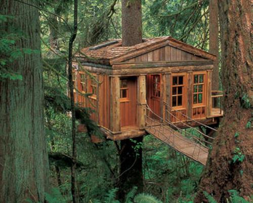 This charming treetop cottage is just one of the many treehouse lodgings available at Pete Nelson’s Treehouse Point in Issaquah, Wash. Nelson, a world-renowned treehouse builder and author, created this sustainable destination as a beautiful,...