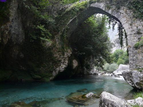 Stone bridge across Río Cares in Picos de Europa National Park, Asturias, Spain (by 20000 sit