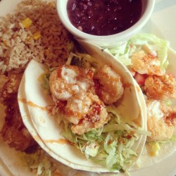 ddiiinn:  shrimp tacos #rice #beans #shrimp #tacos #yummy #food (Taken with instagram) 