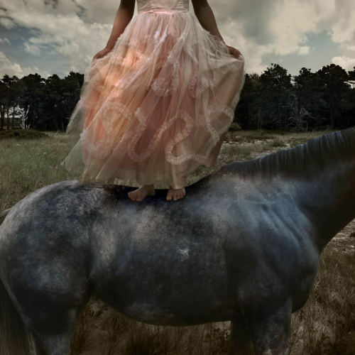 Photography by Tom Chambers