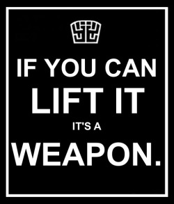 soldiersagacity:  “This list includes, but does not limit to: meat cleavers twice your width, longswords more than an extra &frac12; your height, beach umbrellas and infantrymen. Due to the cost of replacement…we suggest stowing away your swords and