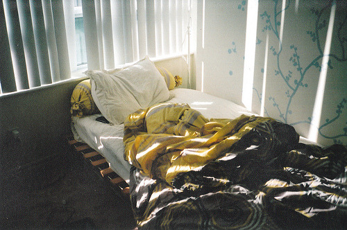 4doors:  Just woke up, beautiful sunlight (by Michelle Liando) 