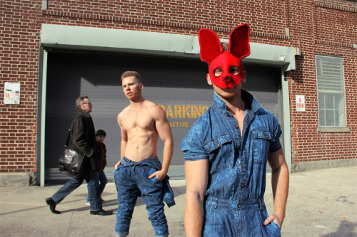 Porn  Blue Collar Bunnies - New York City, Meat photos