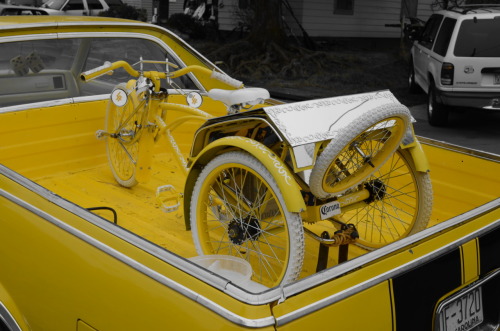 bowtiekillah: yellow everything