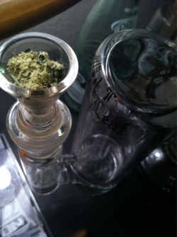 rollmeupone:  Mr. Nice with a kief topper 