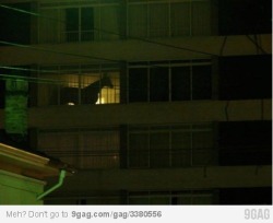 9gag:  Meanwhile in my neighbor’s apartment… 