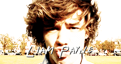pleasemarryme1d:  top 5 favorite posts. right here. 