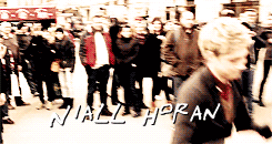 pleasemarryme1d:  top 5 favorite posts. right here. 