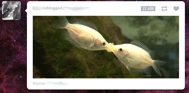 cleptomaniaca:  Até peixes estão beijando e eu não.  ~clep~ 