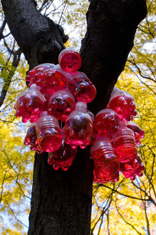 Tony Feher
A Little Bird Told Me., 2007
Cotton line, plastic beverage bottles with caps, water, and liquid water color
Courtesy of the artist; D'Amelio Terras, New York; and PaceWildenstein, New York
Photo by Seong Kwon