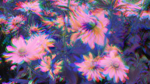 ♥