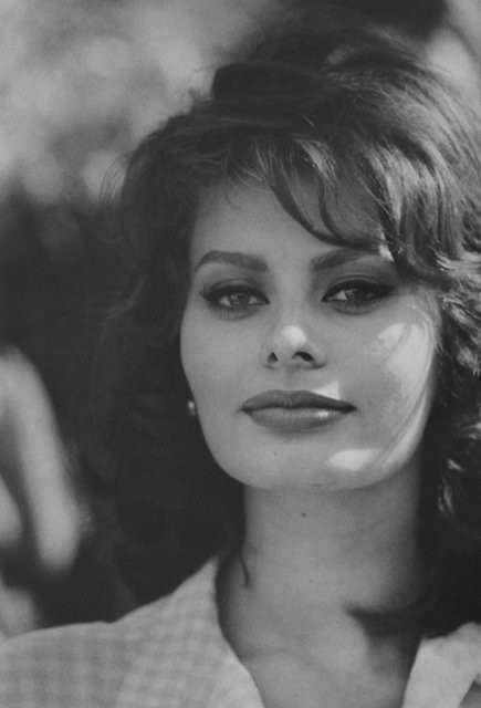 darlingohara:  Sophia Loren 
