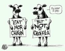 knowhomo:  LGBTQ* Political Cartoons Can’t Be “Gay” For Chick-Fil-A Chronicle of Higher Education Weighs in on Chick-Fil-A Chick-Fil-A Donates Nearly 2 Million to Anti-Gay Groups Northeastern University Rejects Chick-Fil-A Contract Because of Anti-Gay
