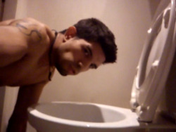 humiliatehim:  Screen caps of the athletic pig’s toilet-licking video. 