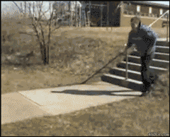 onlylolgifs:  Source:http://forgifs.com More hilarious gifs here!! 