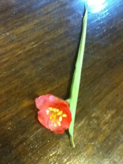 scaredtousetheshower:  for my girlfriend. bamboo leaf wrapped around a chinese flower. i would love 