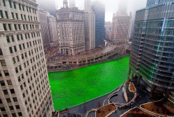  beautiful  Chicago tradition, dying the Chicago River green on St Patrick’s Day. 