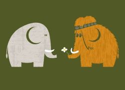 s-e-b-s:  A MAMUT LOVE