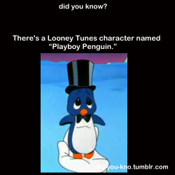 did-you-kno:   Playboy Penguin is a mute