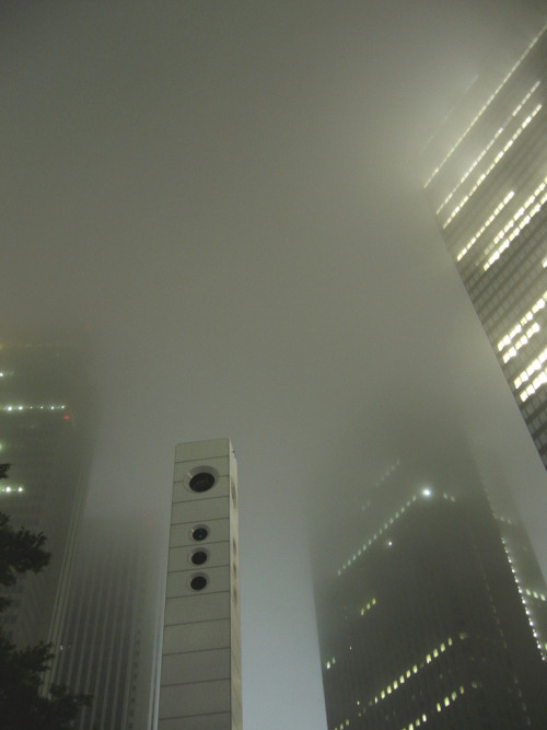 tokyocult:  white night tokyo 