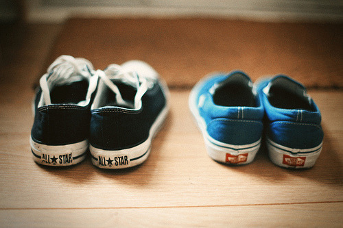 happinessandevrything:  littlebluepaws:  via littlebluepaws  ~ 