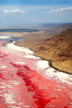 deification:  Lake Natron, Tanzania. 