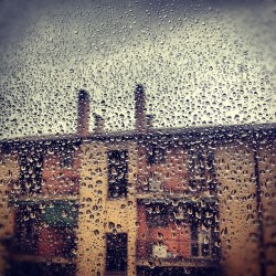 ERP in spring #italy #igersveneto #igerspadova #piove #drop#kate#crivellin  (Scattata con Instagram presso Casa del Popolo di Camin)