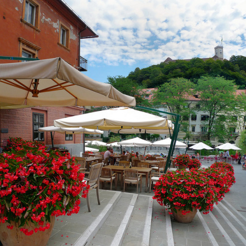 Inviting flower terrace in the beloved old Ljubljana, Slovenia (by B℮n).