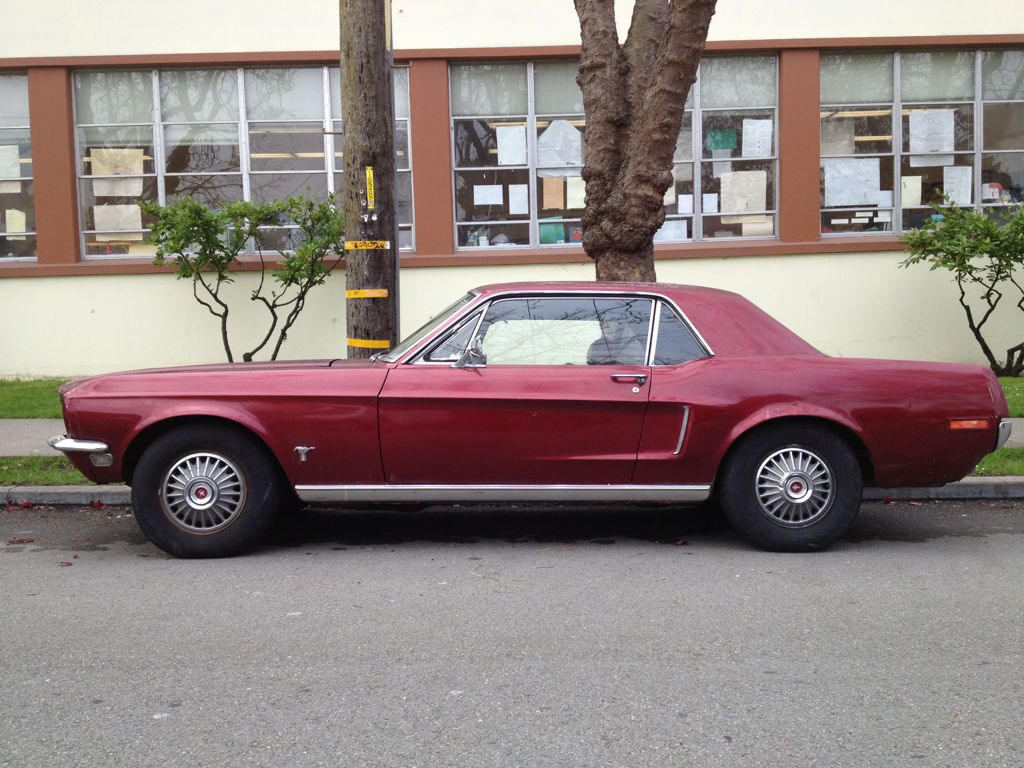 Muscle Car Dreaming