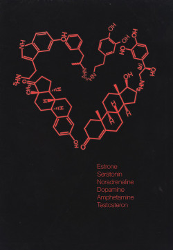 airsoldier:  Biology by JohnehJH on Flickr. Via Flickr: Love is biological. 