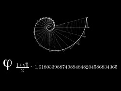 Creatio-Ex-Materia:  Fibonacci  To, Co Sprawia, Że Książki Są Piękne. 