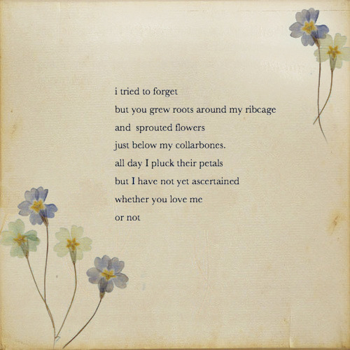 breakingdownbailey:  I love this 
